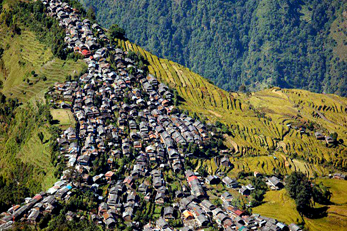 बारपाक सडक कालोपत्रे गफैमा मात्र सिमित